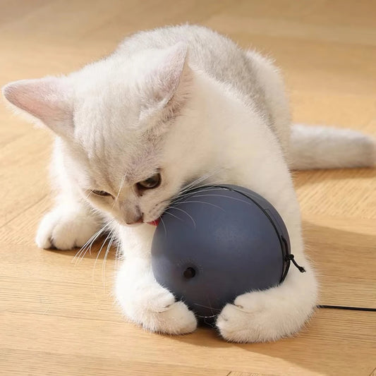 ASmart Interactive Cat Toy with Rolling Balls and Obstacle Avoidance