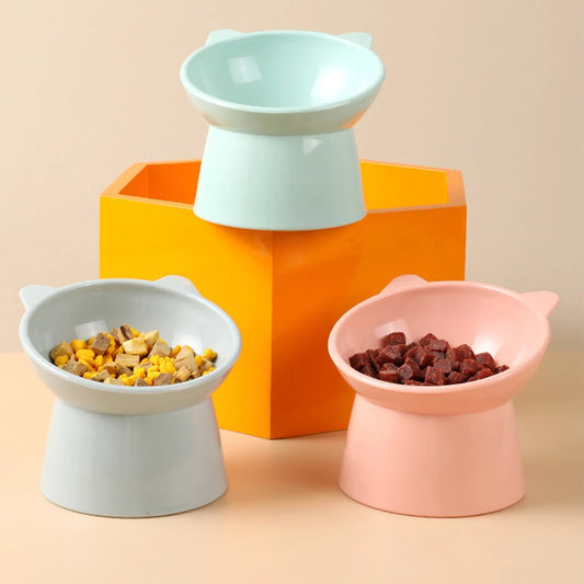 Stylish Pet Feeding Bowl