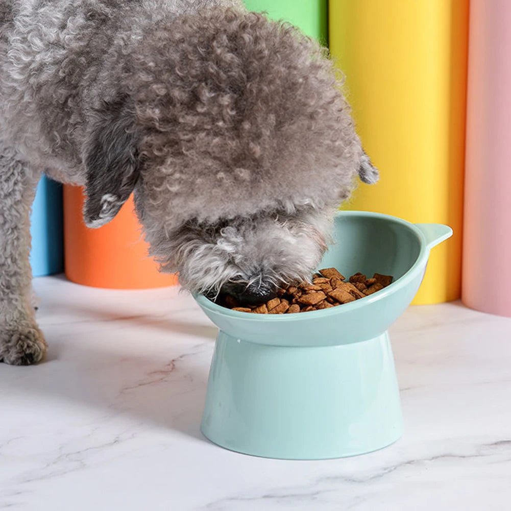 Stylish Pet Feeding Bowl
