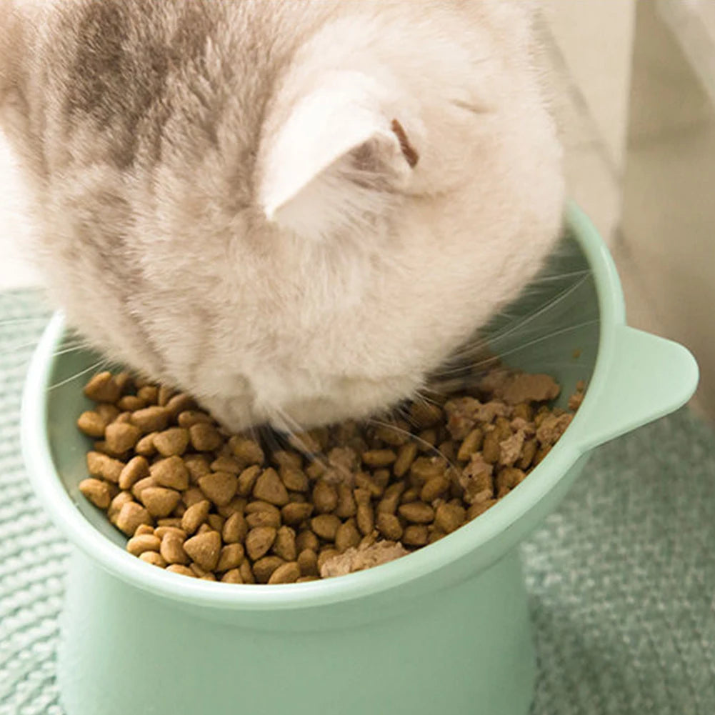 Stylish Pet Feeding Bowl