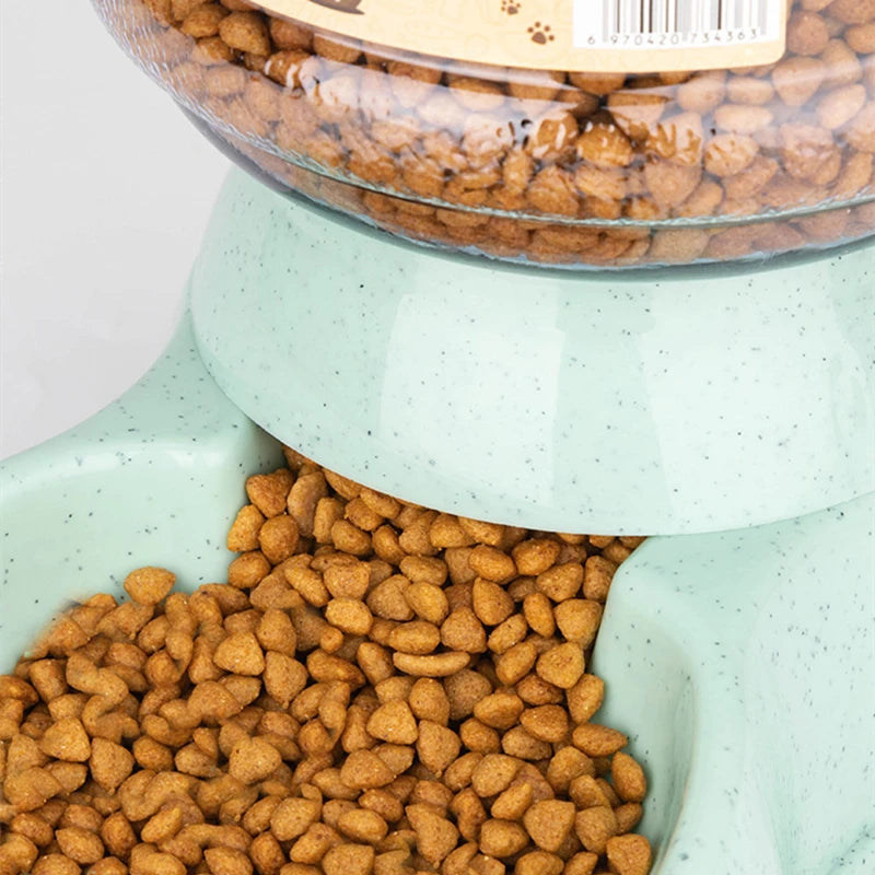 All-in-One Food and Water Bowl for Cats and Small Dogs