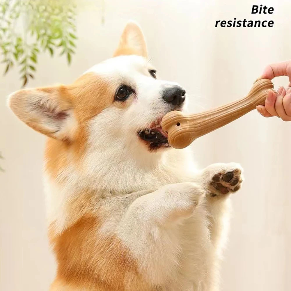 Durable Dog Chew Toy – Bite-Resistant Bone Stick for Teeth Cleaning
