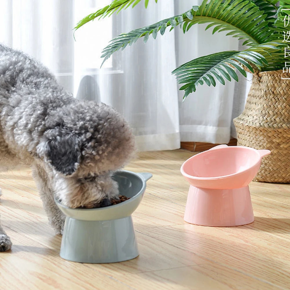 Stylish Pet Feeding Bowl